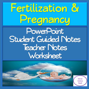 Preview of Fertilization & Pregnancy: PowerPoint, Student Guided Notes, Worksheet