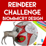 Festive Reindeer Challenge | PBL Resource Biomimicry Desig