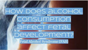 Preview of Fetal Alcohol Syndrome & Fetal Development