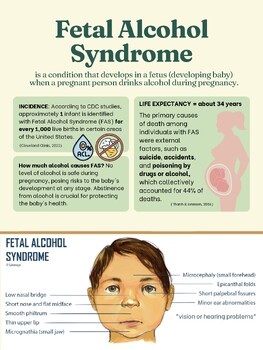 Preview of Fetal Alcohol Syndrome Guide