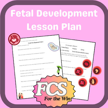 Preview of Fetal Development Lesson & Activity - Child Development & FACS