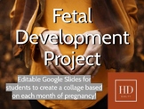 Fetal Development Month by Month of Pregnancy Project via 