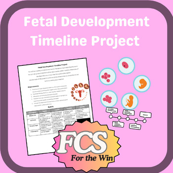 Preview of Fetal Development Timeline - Project - Child Development