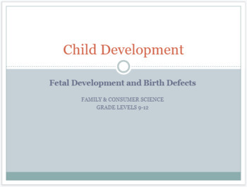 Preview of Fetal Development and Birth Defects