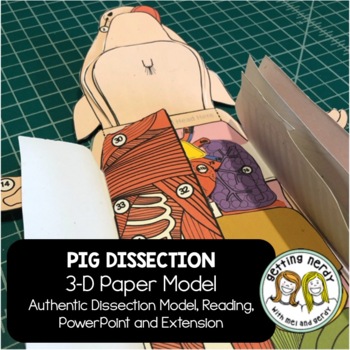 Preview of Fetal Pig Paper Dissection -Scienstructable 3D Dissection Model