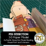 Fetal Pig Paper Dissection -Scienstructable 3D Dissection 