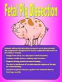 Fetal Pig Dissection (In-Person or Virtual)