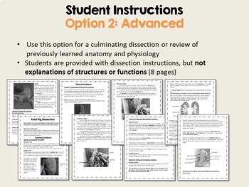 Fetal pig dissection lab worksheet