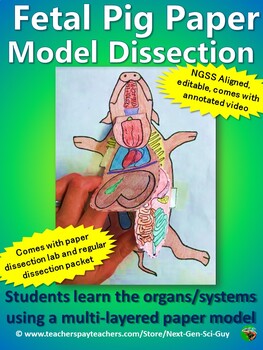 Preview of Fetal Pig Dissection:  Paper Lab & Regular Lab - NGSS Aligned: Distance Learning
