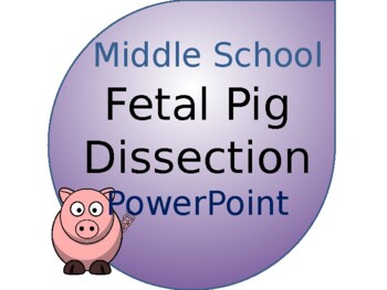 Preview of Fetal Pig Dissection PowerPoint- MS and HS Science