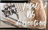 Fetal Pig Dissection Video + Student Lab Sheet