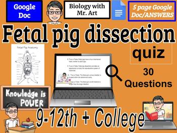 Preview of Fetal pig dissection quiz - university- 30 True and False Questions with Answers