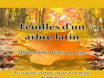 Preview of Feuilles d'un arbre latin