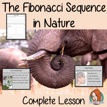 Preview of Fibonacci Sequences in Nature