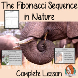Fibonacci Sequences in Nature