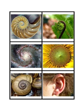 Preview of Fibonacci Spiral Matching Cards