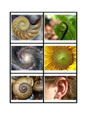 Fibonacci Spiral Matching Cards