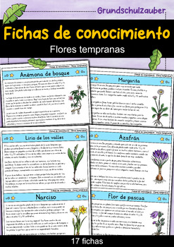 Preview of Fichas de conocimiento - Flores tempranas (español)