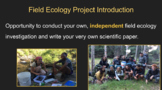 Field Ecology Project FULL BUNDLE - project, slides, sampl