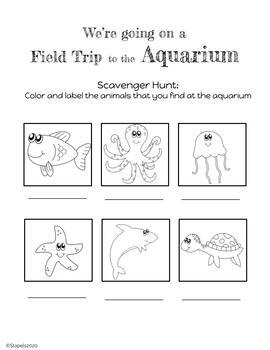 virtual aquarium field trip for preschoolers