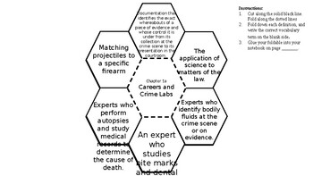 Preview of Fields of Forensic Science Petal Foldable