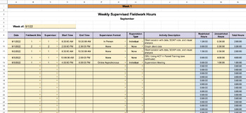 Preview of Fieldwork Supervision Hours/Activities Tracker