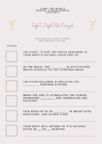 Fight, Flight or Freeze Worksheet/Game for Teens