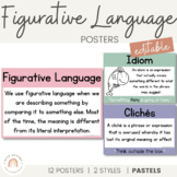 Figurative Language Posters | PASTELS | Muted Rainbow Clas