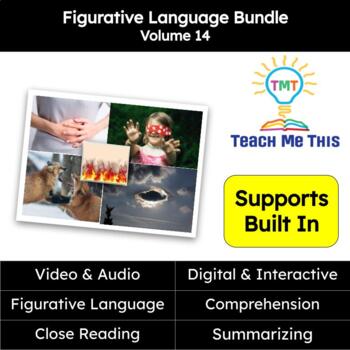 Preview of Figurative Language Reading Passages and Activities Bundle Volume 14