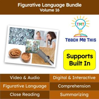 Preview of Figurative Language Reading Passages and Activities Bundle Volume 16
