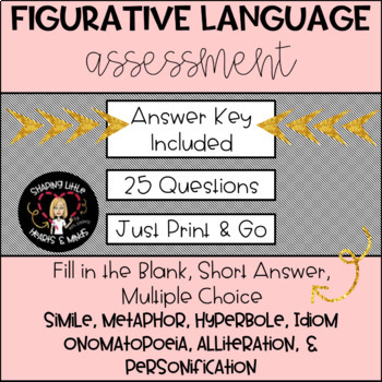 Preview of Figurative Language Test Assessment PRINTABLE