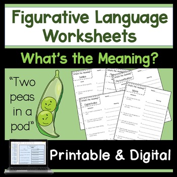 Preview of Figurative language Worksheets