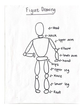 Figure Drawing Guide by Ms Levys Art Class