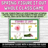 Figure It Out Digital Game - Spring Version | What Doesn't