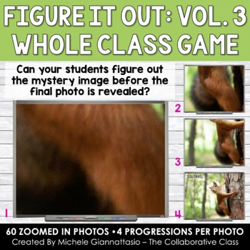 Preview of Figure It Out Vol. 3 Digital Whole Class Game | Figure Out the Zoomed In Photo