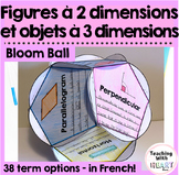 Figures à 2 dimensions et objets à 3 dimensions Bloom Ball
