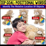 File Folder Game POSITIONAL Words for Special Education