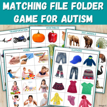 Preview of Autism File Folder Game for Special Education | Picture Cards Matching Activity