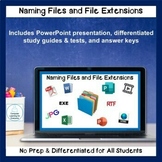 File Names and File Extensions
