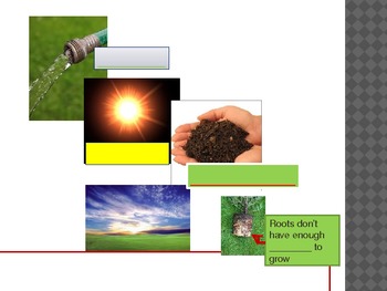 Preview of Fill in Companion for How Plants Grow and Change Powerpoint