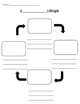Preview of Fill in the Blank Life Cycles Graphic Organizer
