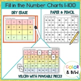 Fill in the Blank Number Charts #1-100