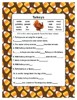 Fill in the Blank ~ Turkey ~ One Work Sheet ~ Many Seasons / Holidays ...