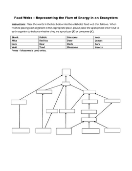 Preview of Fill in the Food Web Worksheet #1 -  Middle School Life Science