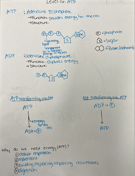 Preview of Filled ATP PowerNotes