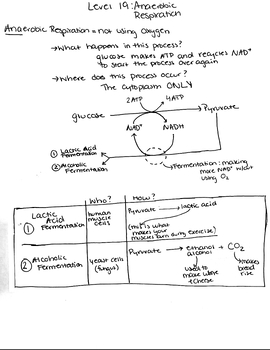 Preview of Filled Anaerobic Cellular Respiration PowerNotes