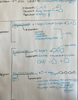 Preview of Filled Carbohydrate (Macromolecule) PowerNotes