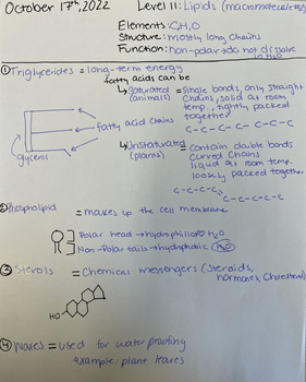 Preview of Filled Lipids (Macromolecule) PowerNotes