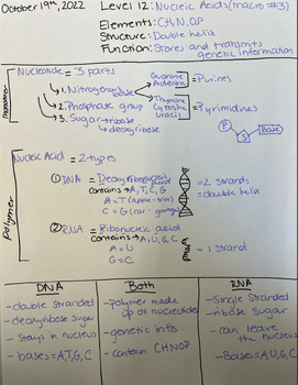 Preview of Filled Nucleic Acid (Macromolecule) PowerNotes