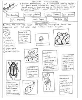 30 Fungi Coloring Worksheet Answer Key - Mihrimahasya Coloring Kids